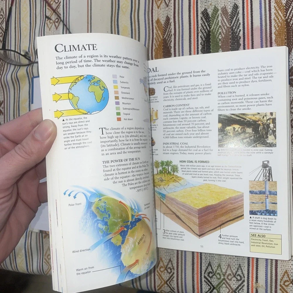 Concise Children's Encyclopedia by Editors of‎ Kingfisher (2001, Hardcover)